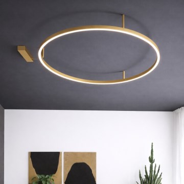 Ideal Lux - LED laelamp ORACLE SLIM LED/81W/230V 3000K CRI 90 läbimõõt 150 cm kuldne