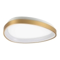 Ideal Lux - LED Laevalgusti GEMINI LED/23W/230V d. 42,5 cm CRI 90 kuldne