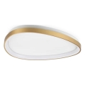 Ideal Lux - LED Laevalgusti GEMINI LED/30W/230V d. 61 cm CRI 90 kuldne