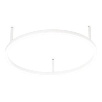 Ideal Lux - LED laelamp ORACLE SLIM LED/29W/230V 4000K CRI 90, läbimõõt 50 cm, valge