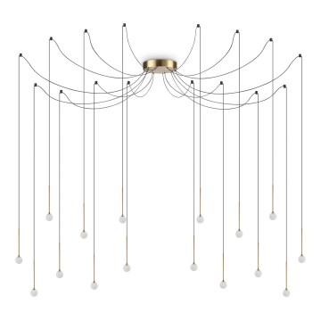 Ideal Lux - LED-rippvalgusti kaabliga LUCCIOLA 16xLED/16W/230V CRI 90 ämblikukujuline messing