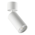 Ideal Lux - LED suunavalgusti DYNAMITE 1xGU10/7W/230V CRI 90 valge