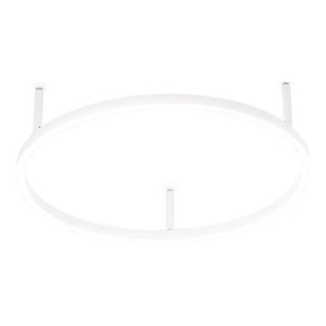 Ideal Lux - ORACLE SLIM LED laevalgusti 29W/230V 2700K CRI 90 läbimõõt 50 cm valge