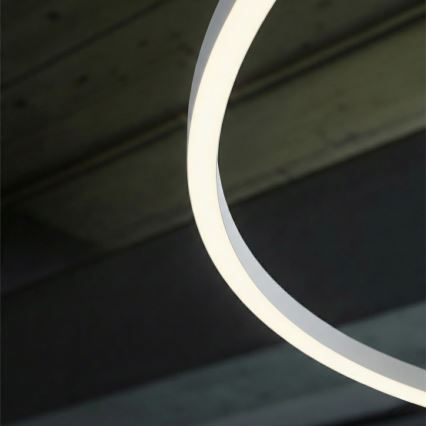 Ideal Lux - kaabliga riputatav LED-lühter ORACLE SLIM LED/53W/230V 4000K CRI 90 Ø 90 cm valge
