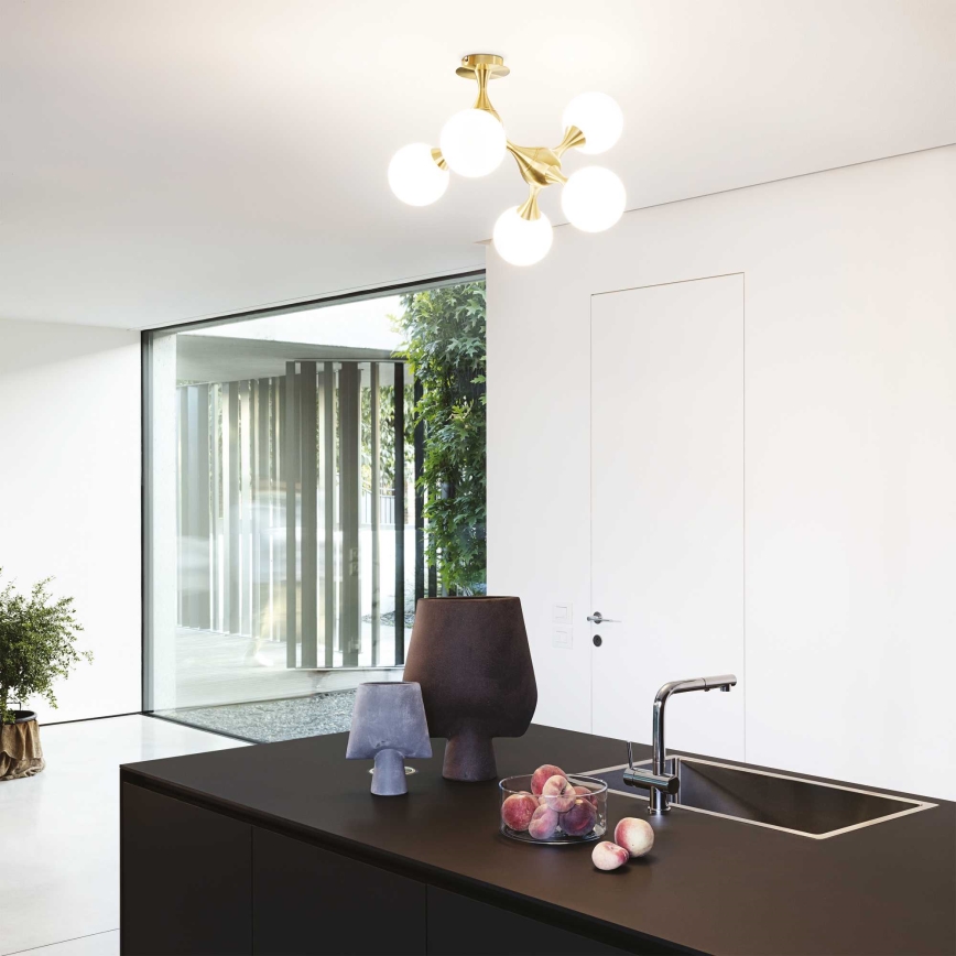 Ideal Lux - pinnale kinnitatav laelühter NODI 5xE14/28W/230V 50x55 cm messing/valge