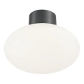 Ideal Lux - Väli laevalgusti CLIO 1xE27/42W/230V IP44 antratsiit