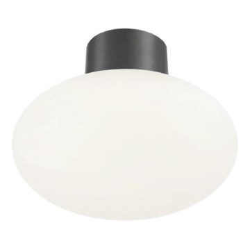 Ideal Lux - Väli laevalgusti CLIO 1xE27/42W/230V IP44 antratsiit