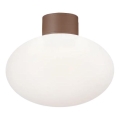 Ideal Lux - Väli laevalgusti CLIO 1xE27/42W/230V IP44 pruun