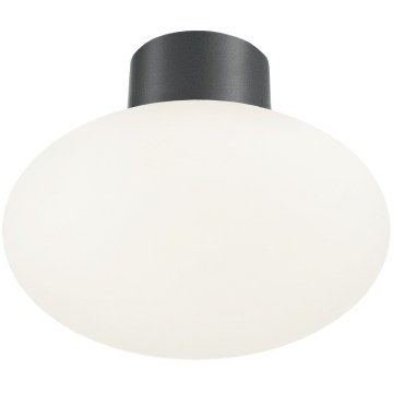 Ideal Lux - Väline laevalgusti CLIO 1xE27/42W/230V läbimõõt 28 cm IP44 antratsiit