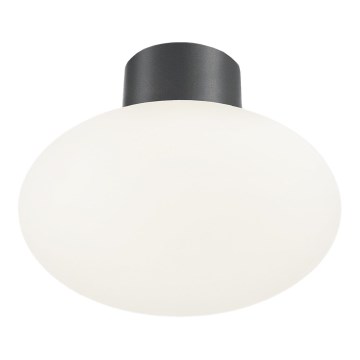 Ideal Lux - Välislaevalgusti CLIO 1xE27/42W/230V IP44 antratsiit
