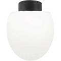 Ideal Lux - Välislaevalgusti CLIO 1xE27/42W/230V IP44 must