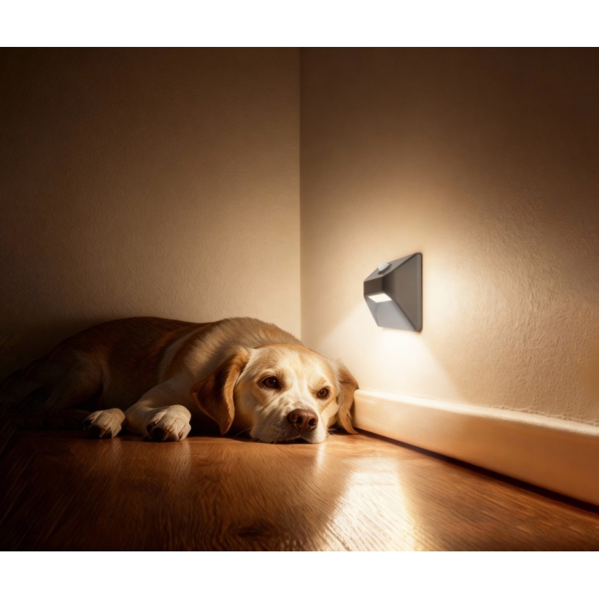 Laetav LED-trepi valgusti liikumis- ja hämarustuvastusega STEP LIGHT LED/0,3W/3,7V 2200 mAh IP53 hall