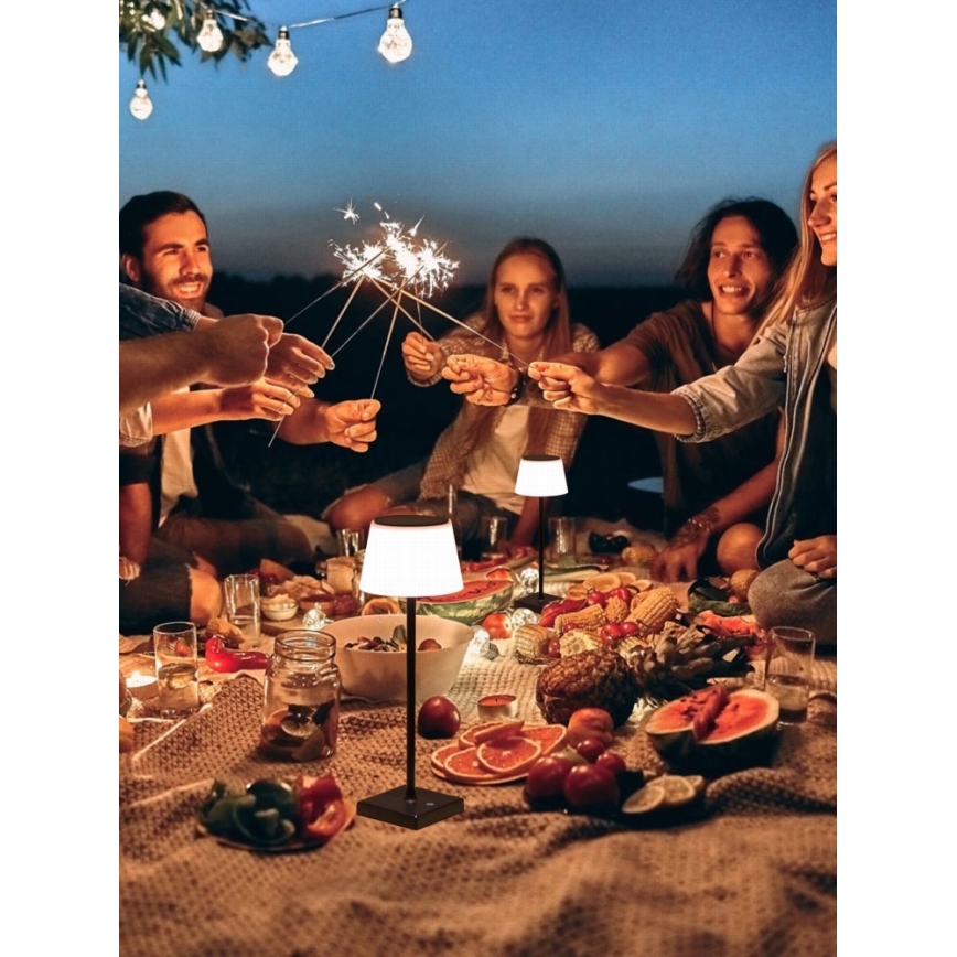 LED Hämardatav väli päikesepaneeliga lamp anduriga LED/4W/5V IP44