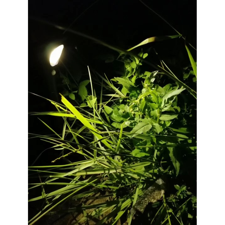 LED Päikesepaneeliga valgusti anduriga LED/1W/3,7V 6000K IP65