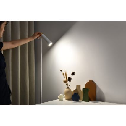 LED Hämardatav põrandalamp TIT LED/6W/230V valge