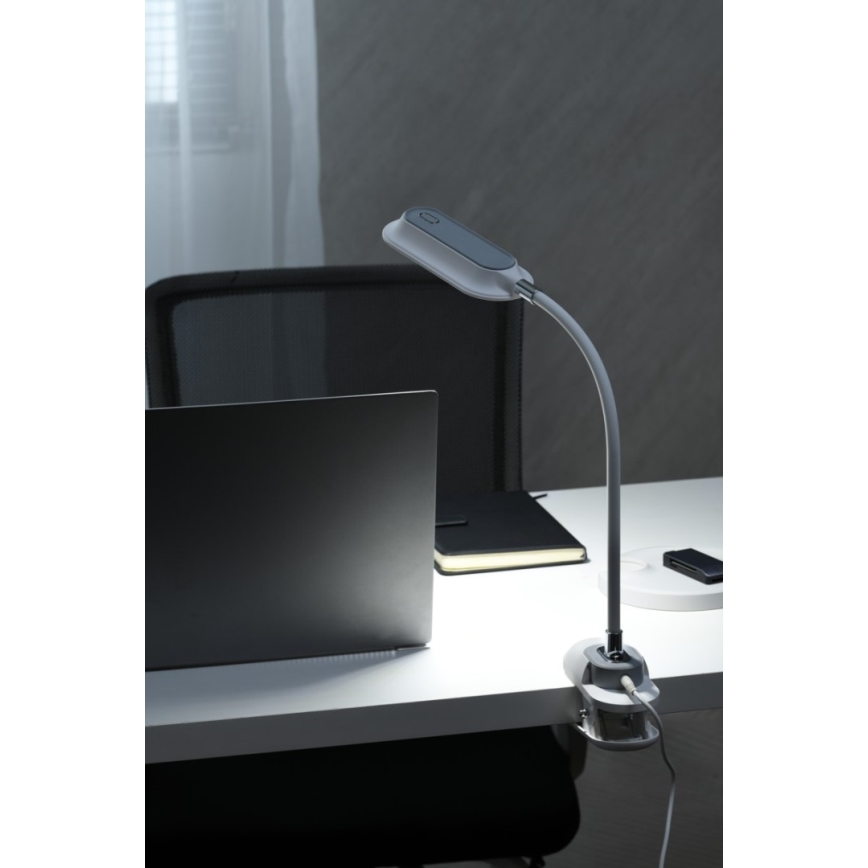 LED+CCT hämardatav laualamp klambriga CLIP LED/7,5W/230V 3000/4200/5000K valge