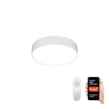 Immax NEO 07024L – LED Hämardatav laevalgusti RONDATE LED/25W/230V Tuya + Pult