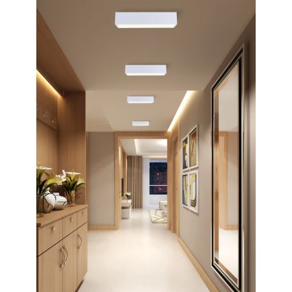 Immax NEO 07072-60 - LED Hämardatav laevalgusti CANTO LED/34W/230V valge Tuya + kaugjuhtimispult