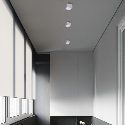 Immax NEO 07072L-15 - LED Hämardatav valgusti CANTO LED/12W/230V valge Tuya