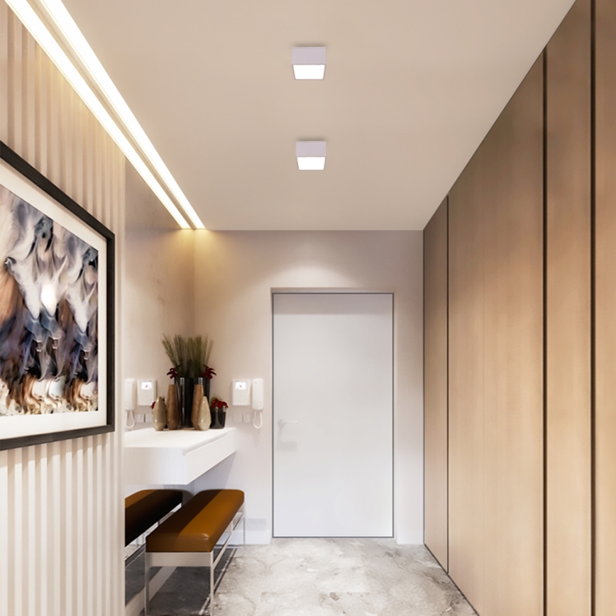 Immax NEO 07072L-15 - LED Hämardatav valgusti CANTO LED/12W/230V valge Tuya