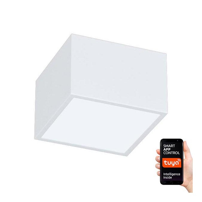 Immax NEO 07072L-15 - LED Hämardatav valgusti CANTO LED/12W/230V valge Tuya