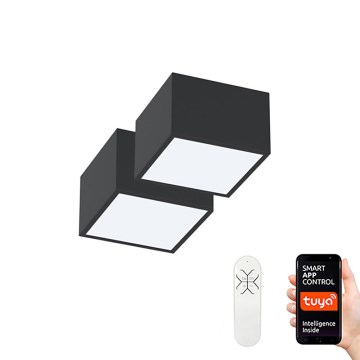 Immax Neo 07074L-15BD - Komplekt 2x LED Hämardatav laevalgusti CANTO 2xLED/12W/230V + kaugjuhtimispult Tuya