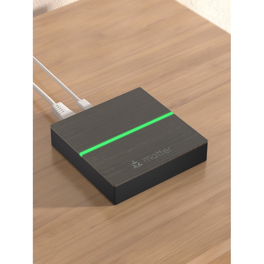 Immax NEO 07117-5 - MATTER BRIDGE Nutikas Zigbee 3.0 230V Wi-Fi