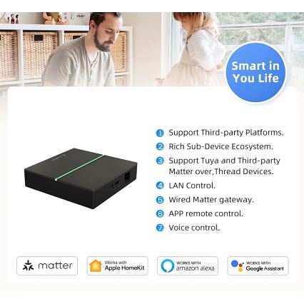 Immax NEO 07117-5 - MATTER BRIDGE Nutikas Zigbee 3.0 230V Wi-Fi