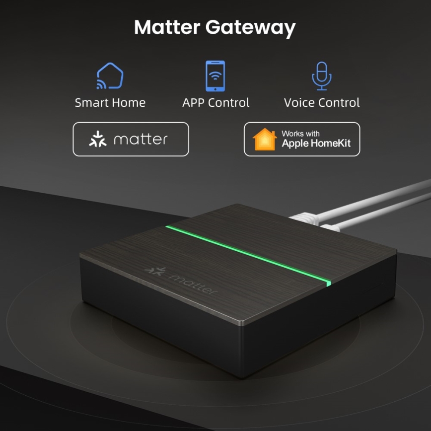 Immax NEO 07117-5 - MATTER BRIDGE Nutikas Zigbee 3.0 230V Wi-Fi