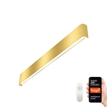 Immax NEO 07137-G - LED SMART Seinavalgusti LINEA LED/40W/230V + Pult 76 cm Tuya