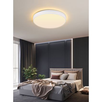 Immax NEO 07149-W40 - LED Hämardatav laevalgusti NEO LITE AREAS 24W/230V Tuya Wi-Fi valge + Pult