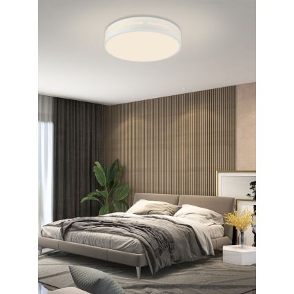 Immax NEO 07153-W30 - LED Hämardatav laevalgusti NEO LITE PERFECTO LED/24W/230V Wi-Fi Tuya valge + pult