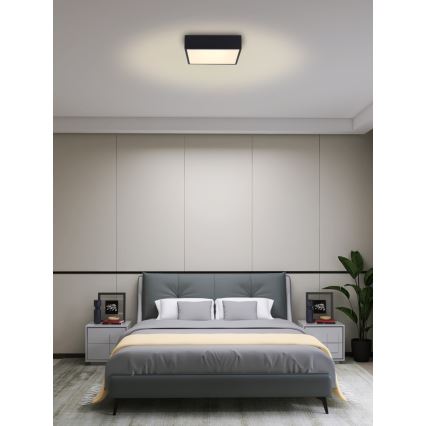 Immax NEO 07237L - LED Hämardatav laevalgusti CANTO LED/22W/230V must Tuya + kaugjuhtimispult