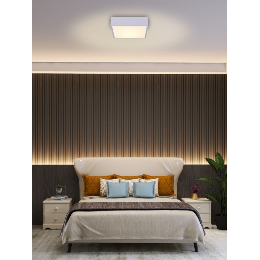 Immax NEO 07238L - LED Hämardatav laevalgusti CANTO LED/22W/230V valge Tuya + kaugjuhtimispult