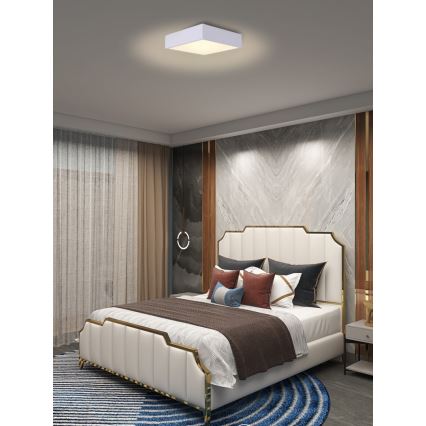 Immax NEO 07238L - LED Hämardatav laevalgusti CANTO LED/22W/230V valge Tuya + kaugjuhtimispult