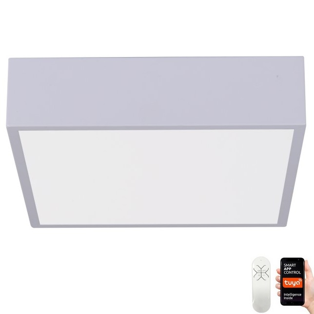 Immax NEO 07238L - LED Hämardatav laevalgusti CANTO LED/22W/230V valge Tuya + kaugjuhtimispult