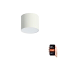 Immax NEO 07241L - Hämardatav laevalgusti RONDATE LED/18W/230V 11,5cm Wi-Fi Tuya