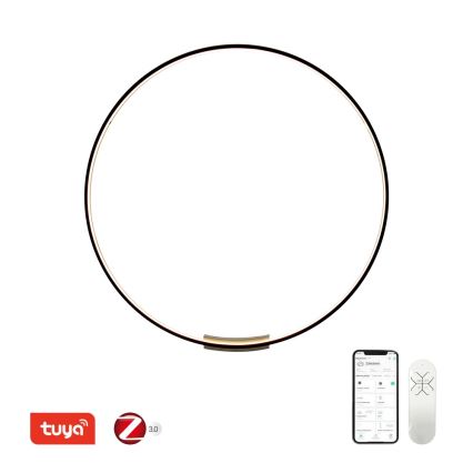 Immax NEO 07245-120 - LED Hämardatav seinavalgusti FINO LED/70W/230V 120 cm Tuya + kaugjuhtimispult