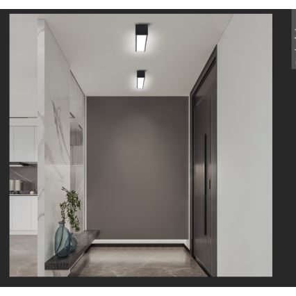 Immax NEO 07254L - LED Hämardatav laevalgusti NEO LITE LUNGO LED/20W/230V 3000-6000K Wi-Fi Tuya must + kaugjuhtimispult