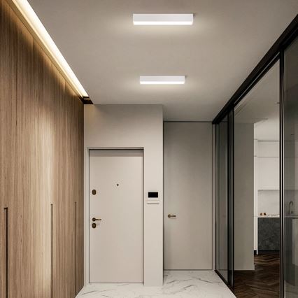 Immax NEO 07257L - LED Hämardatav laevalgusti NEO LITE LUNGO LED/20W/230V 3000-6000K Wi-Fi Tuya valge + kaugjuhtimispult
