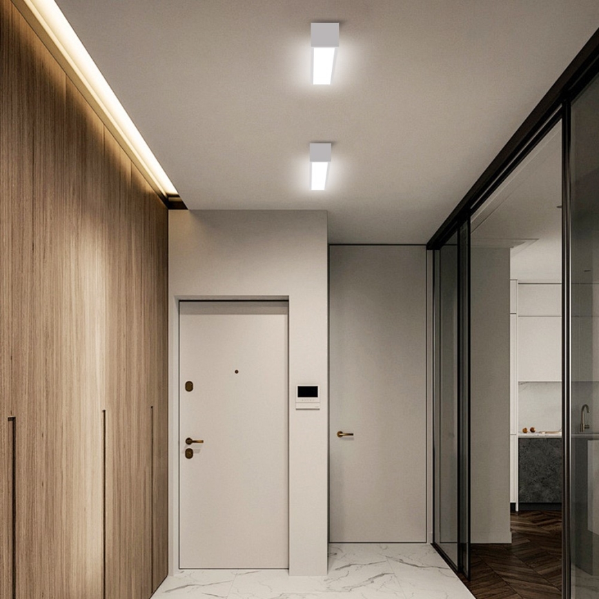 Immax NEO 07257L - LED Hämardatav laevalgusti NEO LITE LUNGO LED/20W/230V 3000-6000K Wi-Fi Tuya valge + kaugjuhtimispult