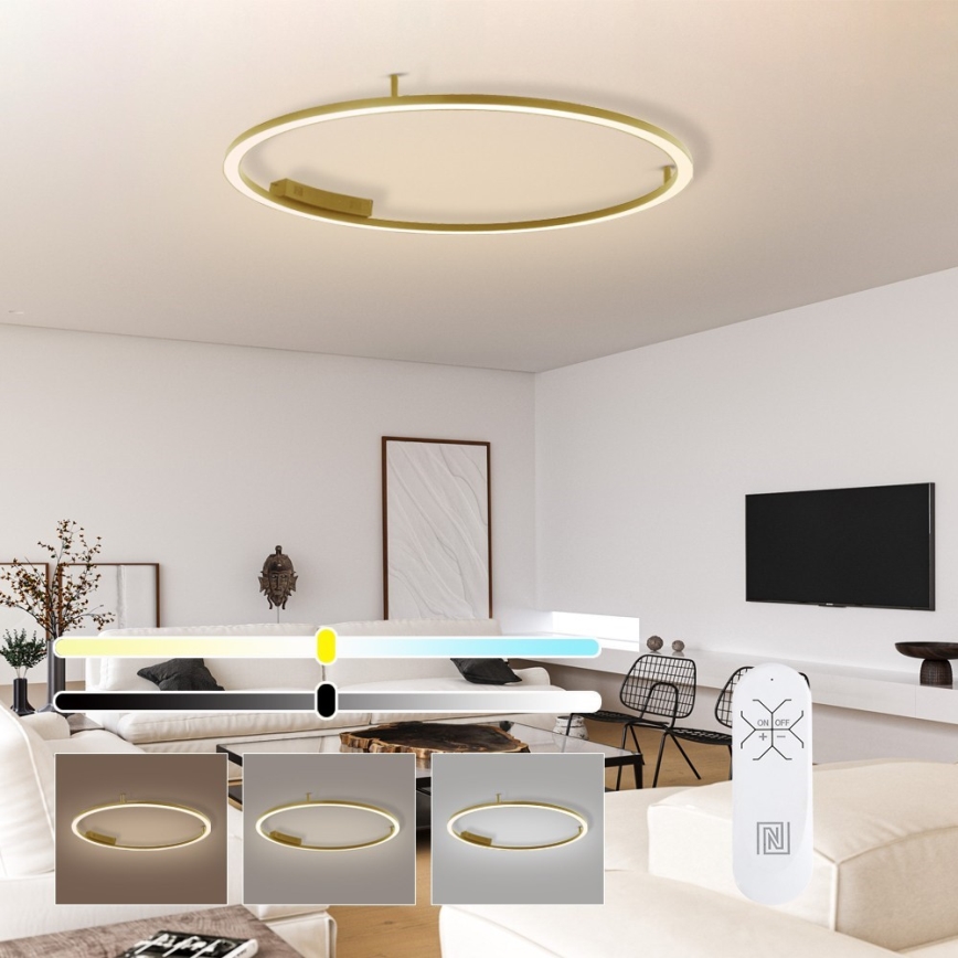 Immax NEO 07290-120G - LED+CCT hämardatav laelamp FINO LED/55W/230V 2700-6500K Tuya, läbimõõt 120 cm + kaugjuhtimispult