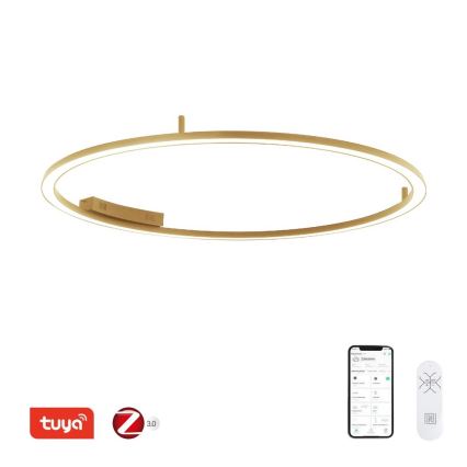 Immax NEO 07290-120G - LED+CCT hämardatav laelamp FINO LED/55W/230V 2700-6500K Tuya, läbimõõt 120 cm + kaugjuhtimispult