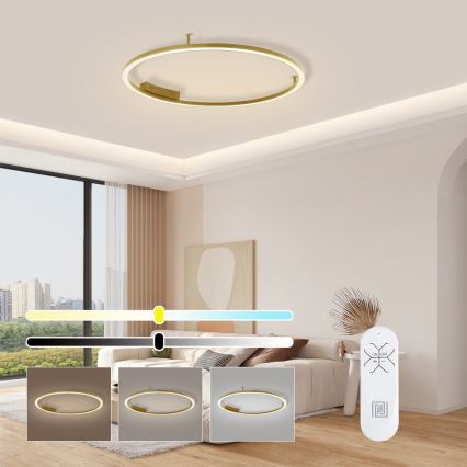 Immax NEO 07291-80G - LED+CCT hämardatav laelamp FINO LED/55W/230V 2700-6500K Tuya, läbimõõt 80 cm + kaugjuhtimispult