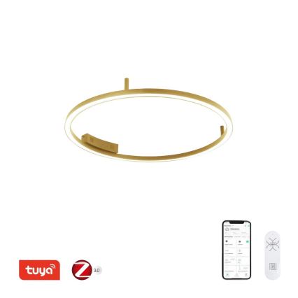 Immax NEO 07291-80G - LED+CCT hämardatav laelamp FINO LED/55W/230V 2700-6500K Tuya, läbimõõt 80 cm + kaugjuhtimispult