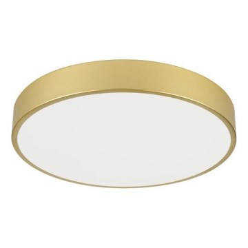 Immax NEO 07292L - LED+CCT hämardatav laelamp SEMPLICI LED/36W/230V 2700–6500K Ø 40 cm + kaugjuhtimispult