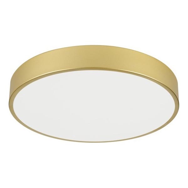 Immax NEO 07292L - LED+CCT hämardatav laelamp SEMPLICI LED/36W/230V 2700–6500K Ø 40 cm + kaugjuhtimispult