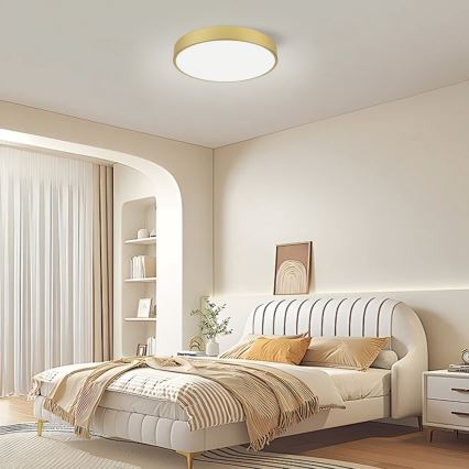 Immax NEO 07292L - LED+CCT hämardatav laelamp SEMPLICI LED/36W/230V 2700–6500K Ø 40 cm + kaugjuhtimispult