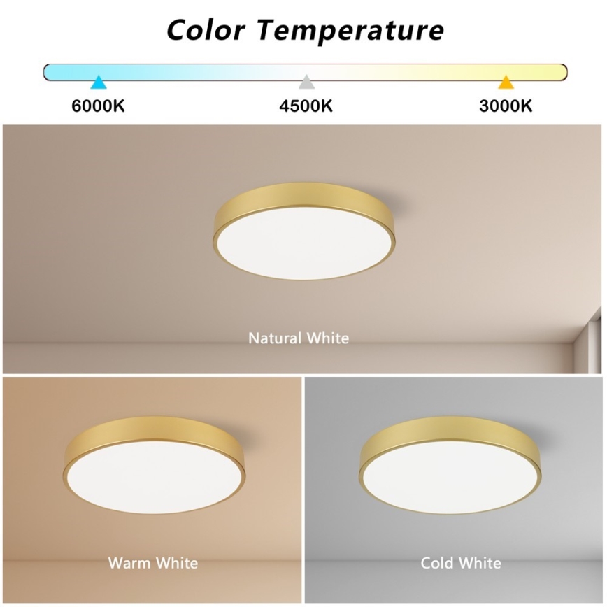 Immax NEO 07292L - LED+CCT hämardatav laelamp SEMPLICI LED/36W/230V 2700–6500K Ø 40 cm + kaugjuhtimispult