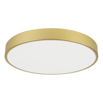 Immax NEO 07293L - LED+CCT hämardatav laelamp SEMPLICI LED/60W/230V 2700-6500K läbimõõt 60 cm + kaugjuhtimispult